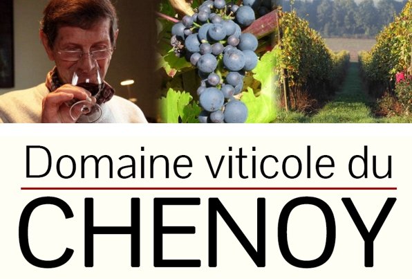 Visite du Domaine viticole du Chenoy