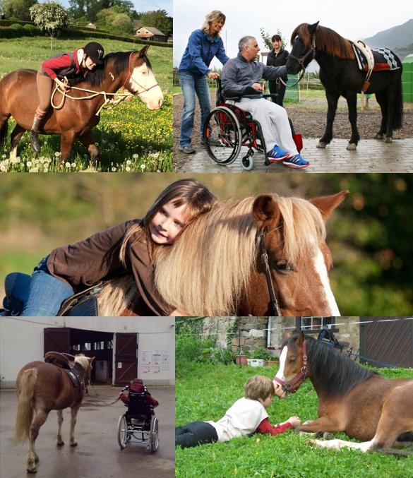 Brigitte Loo, hippothérapeute