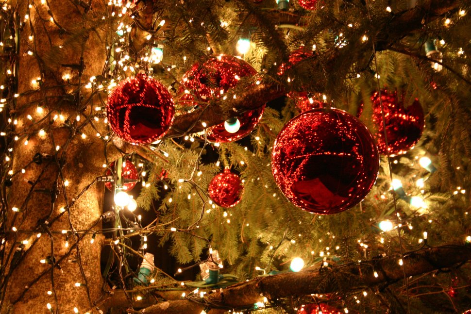 Dîner de Noël