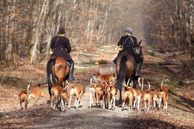 Dîner de Chasse au Château