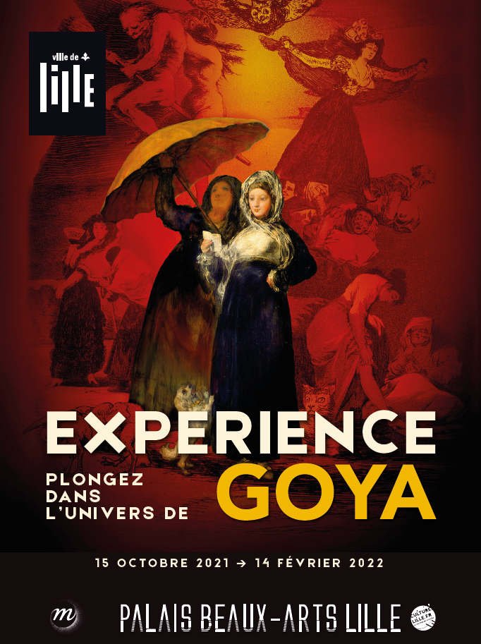 « Expérience Goya », au Palais des Beaux-Arts de Lille