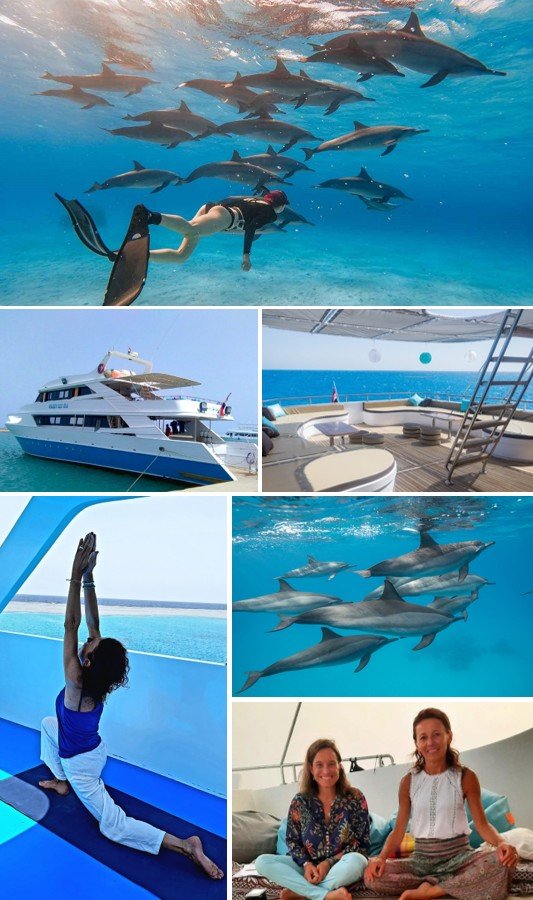 À la rencontre des dauphins dans la Baie de Sataya en Egypte