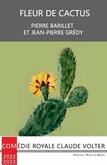 « Fleur de cactus », à la Comédie Claude Volter