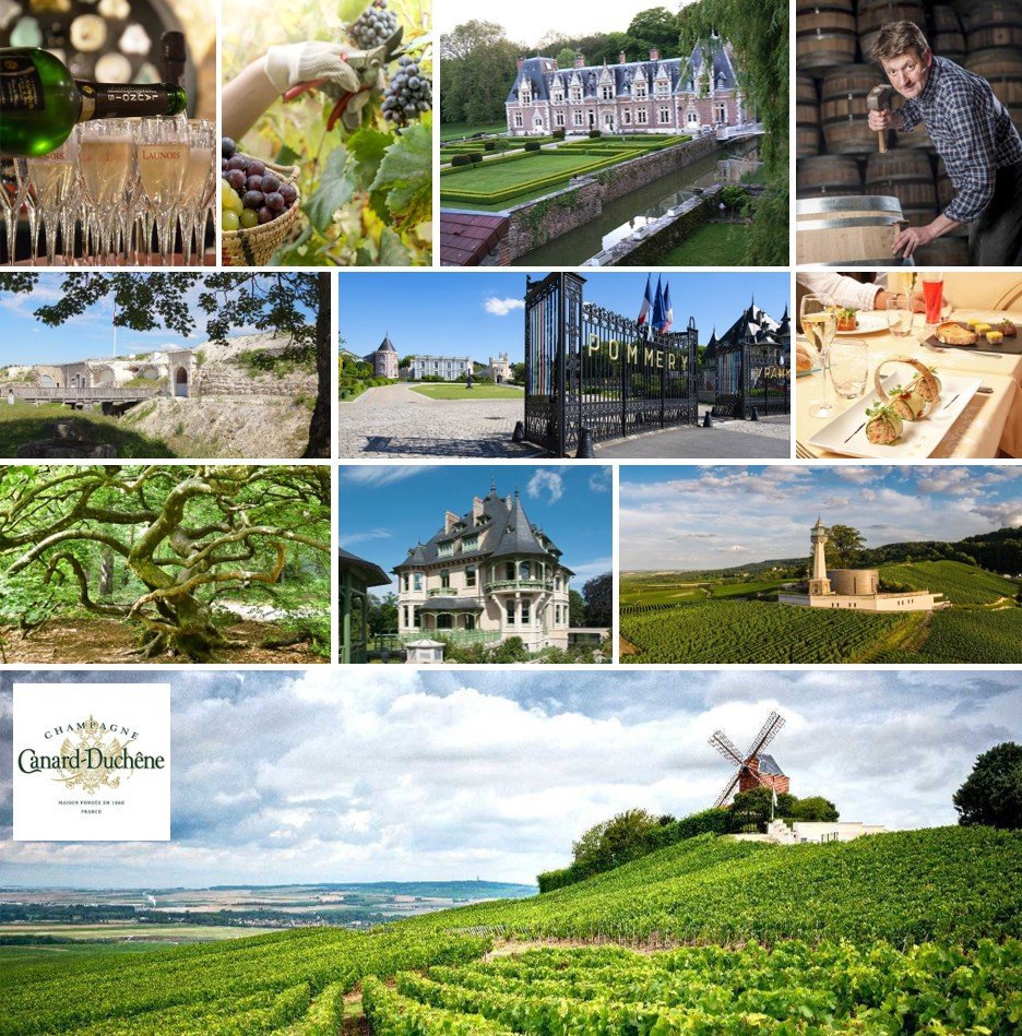 Week-end : « Vendanges et gourmandises en Champagne »
