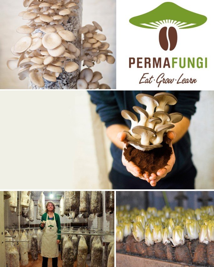 La champignonnière bruxelloise PermaFungi, à Tour & Taxis - VISITE DE 14H30