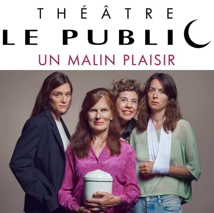 « La tête dans le frigo », au théâtre Le Public