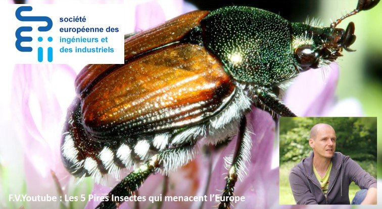 François Verheggen, Professeur de Zoologie à l'Université de Liège