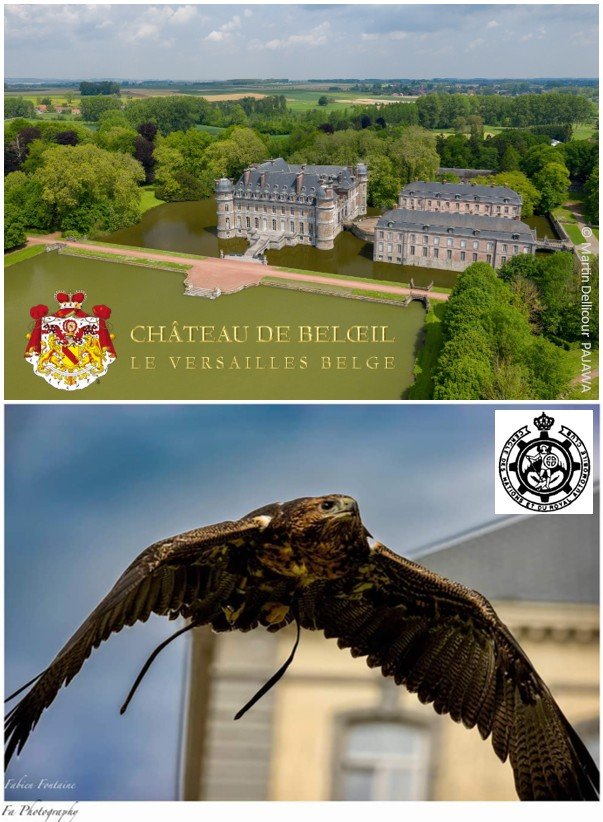 Le Château de Beloeil et démonstration de fauconnerie